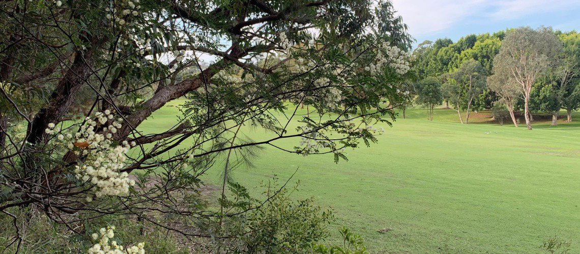 COURSE UPDATE cover