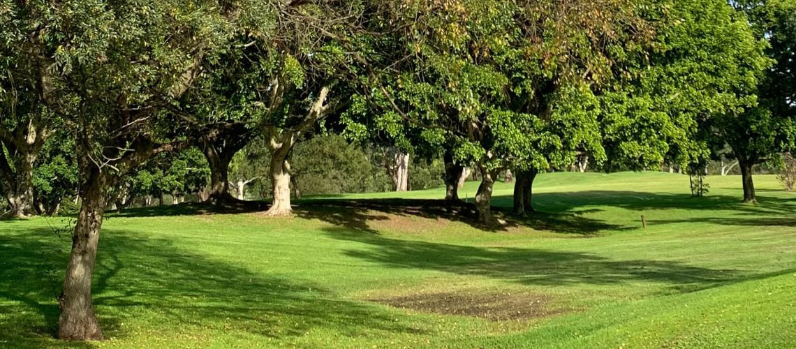GOLF TIP cover