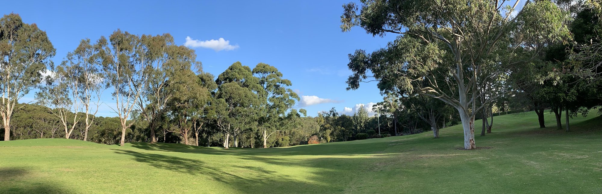 CLUB/ COURSE NEWS cover
