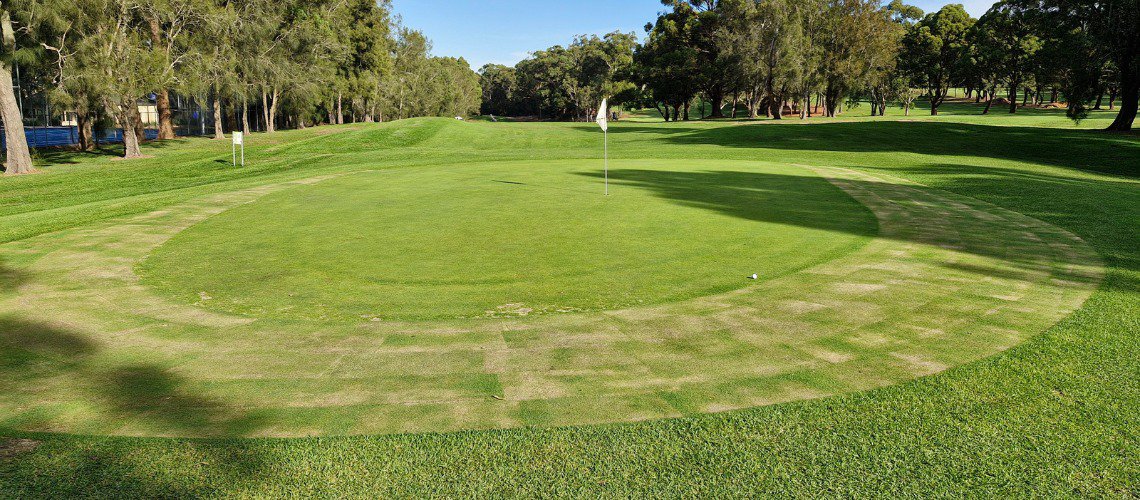 GOLF COURSE UPDATE cover